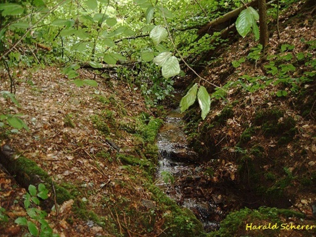 DHW0066.jpg
